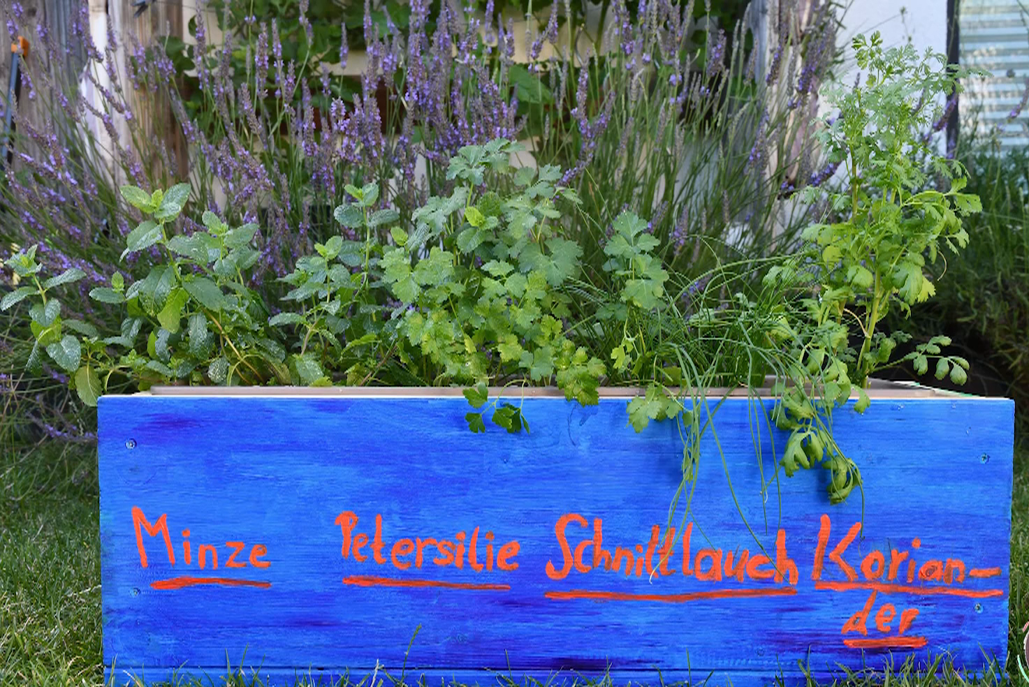 ​BNE: Mobiler Kräutergarten