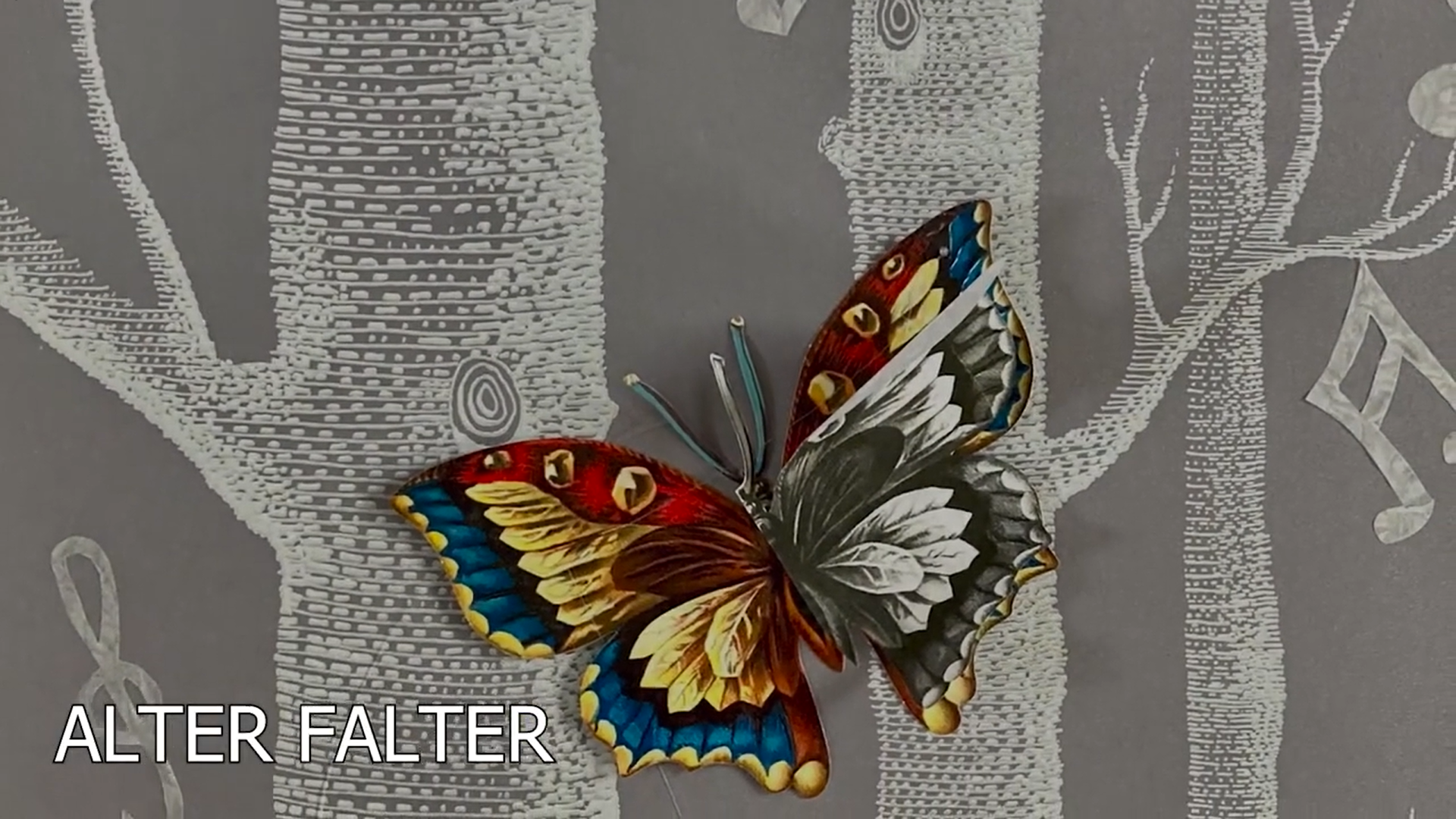 Alter Falter